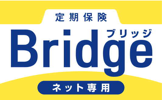 無配当 無解約払戻金型定期保険(インターネット申込専用)