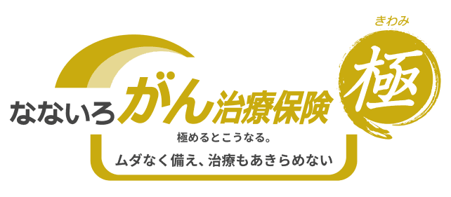 がん治療サポート保険(無解約返戻金型)(2022)
